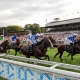 Köln Galopp indgået aftale med Venue Manager