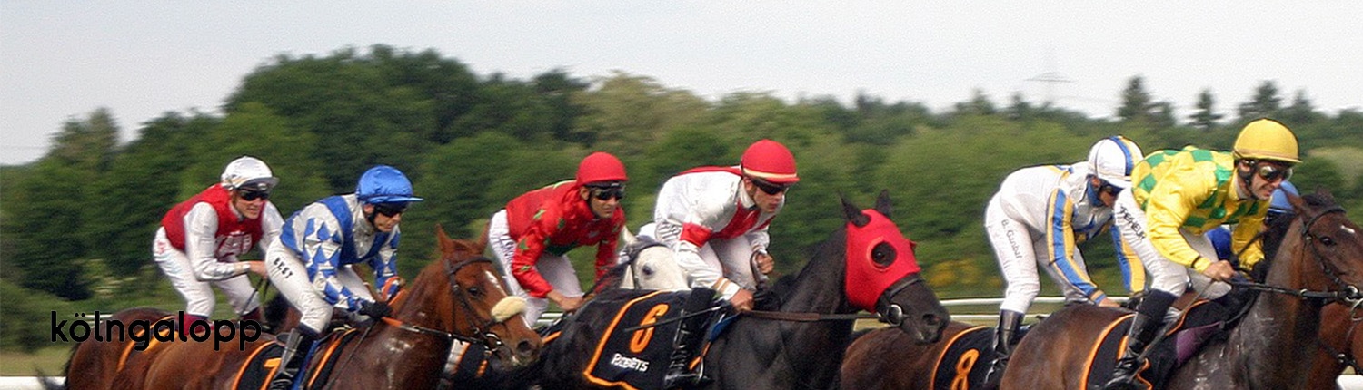 cases_header køln Kölngalopp bannerbillede