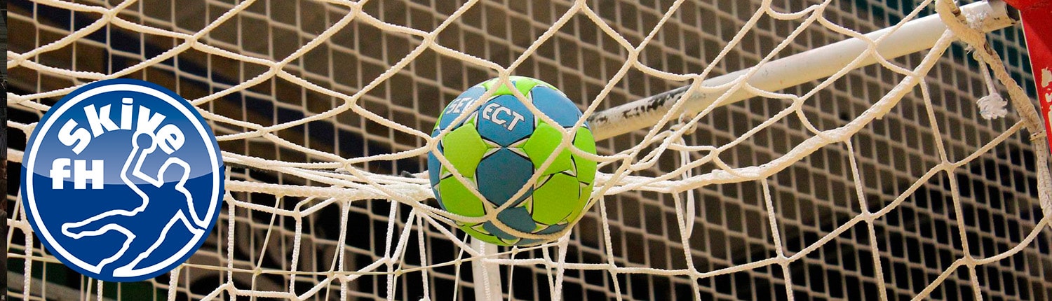 cases_header_SkiveFH Skive fH bannerbillede